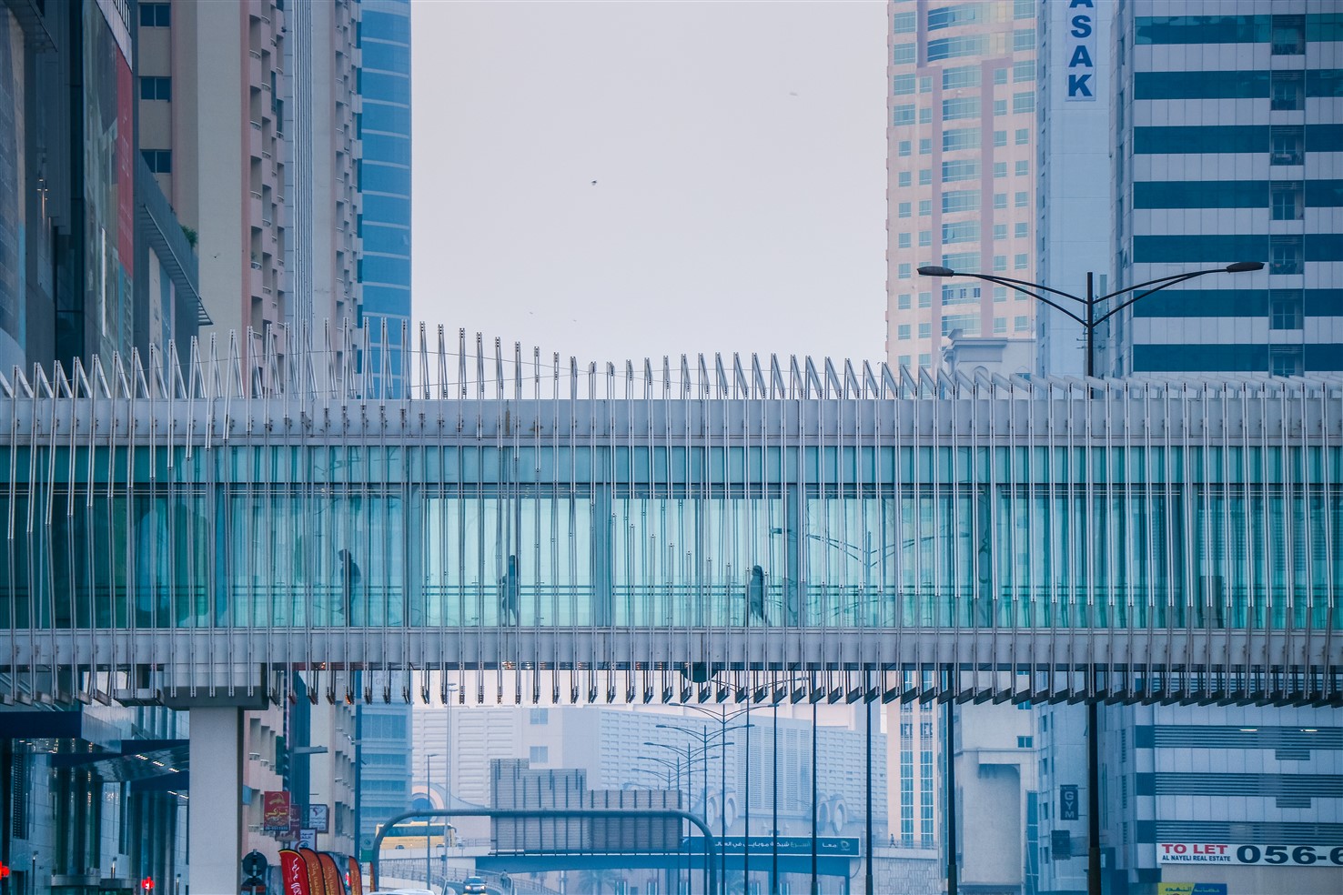 Alrayaan Pedestrian Bridge